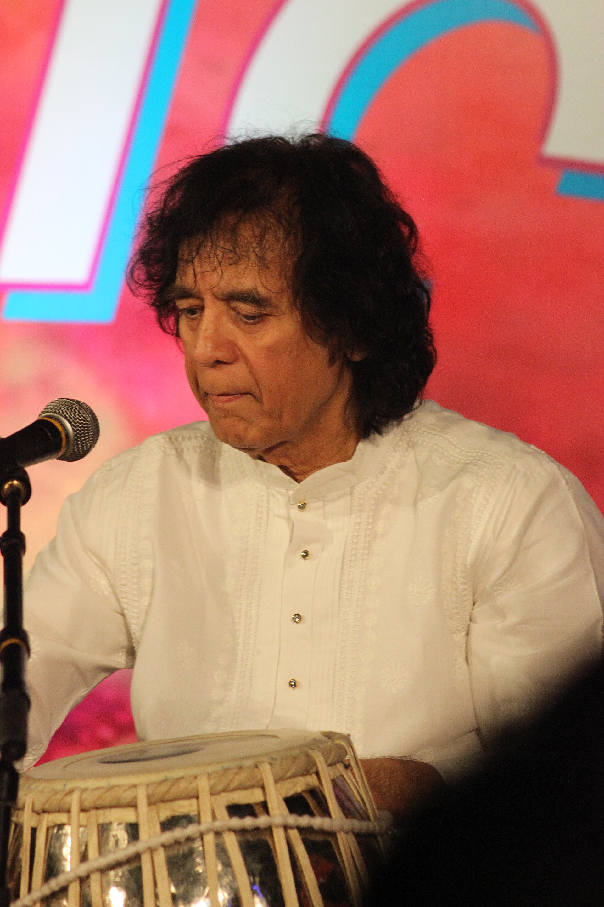 Portrait of Ustad Zakir Hussain